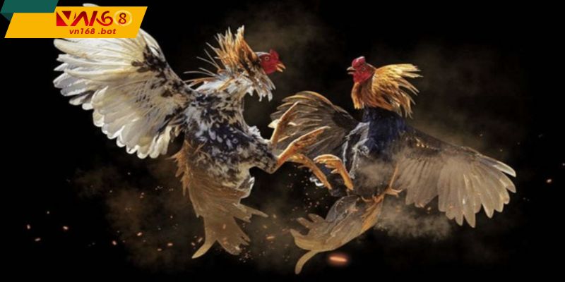 trai-nghiem-theo-doi-nhanh-sac-net-va-song-dong-nhu-thuc-te