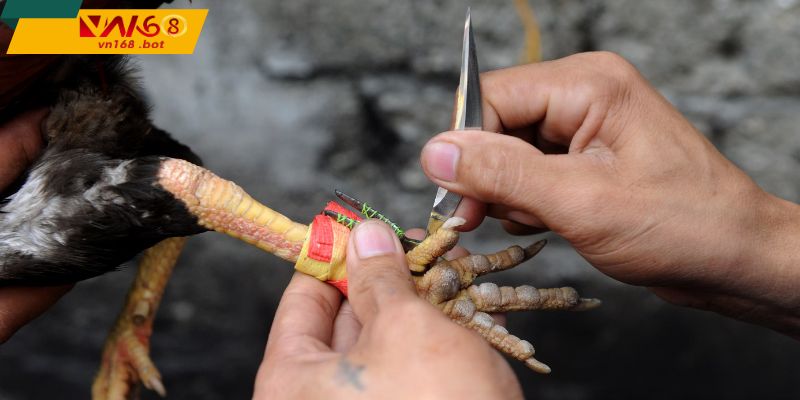 giao-dien-De-quan-sat-thuan-tay-va-theo-doi-lien-mach