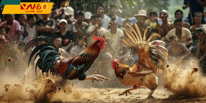 hinh-anh-truyen-phat-sac-net-on-dinh