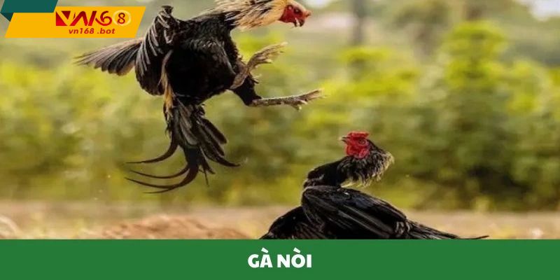 Trinh-phat-da-ga-noi-voi-toc-do-on-dinh-goc-quay-ro-rang