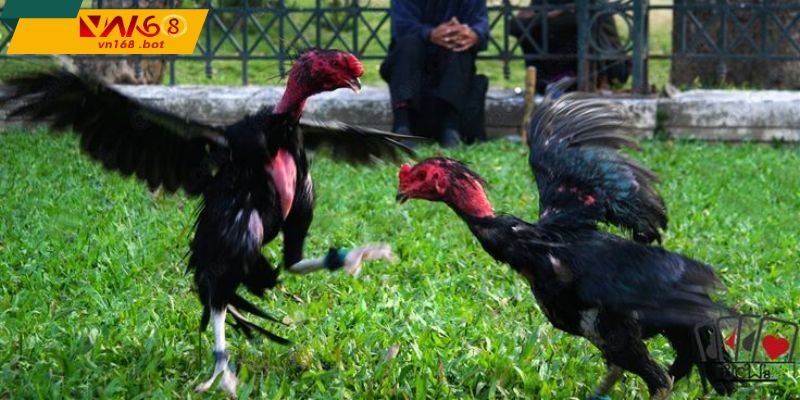 Trai-nghiem-nguoi-xem-thao-tac-muot-bao-mat-on-dinh