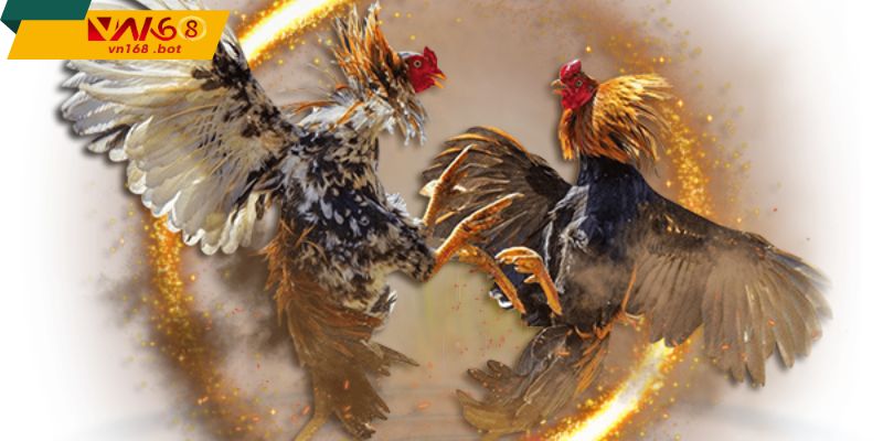 Trai-nghiem-soi-dau-C1